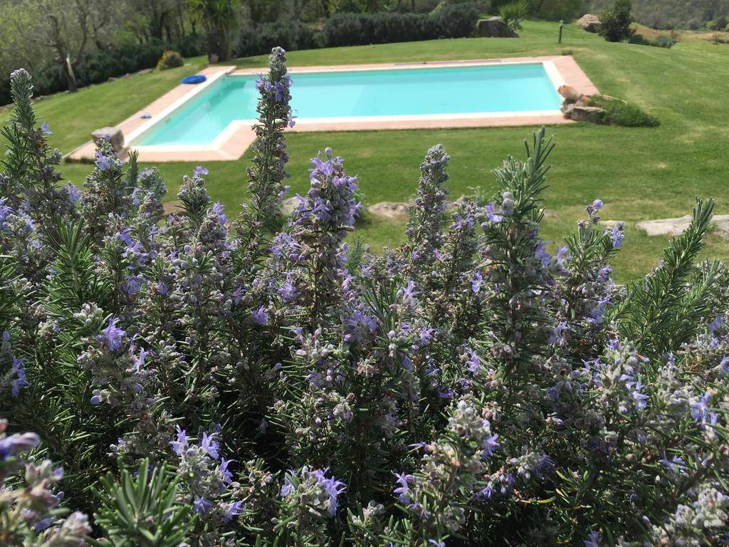 Agriturismo Podere S. Croce Saturnia Zewnętrze zdjęcie