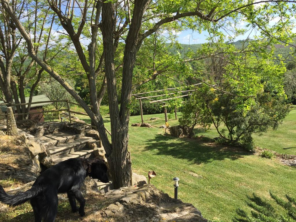 Agriturismo Podere S. Croce Saturnia Zewnętrze zdjęcie